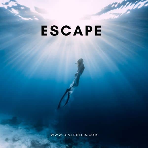 One word captions: escape