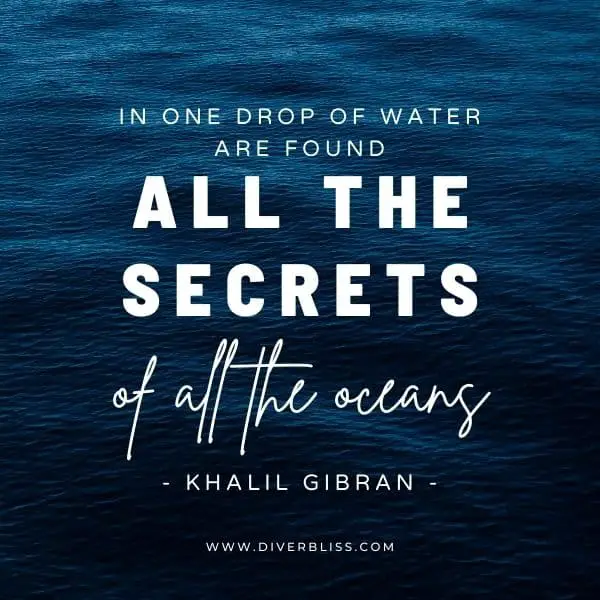 Inspirational Ocean Quotes for Instagram: “In one drop of water are found all the secrets of all the oceans.” – Khalil Gibran