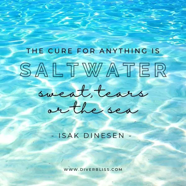 Sea Quotes for Instagram: "The cure for anything is saltwater sweat, tears or the sea." – Isak Dinesen