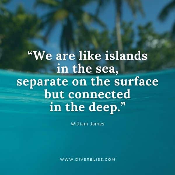 Sea Quotes for Instagram: "We are like islands in the sea, separate on the surface but connected in the deep." – William James