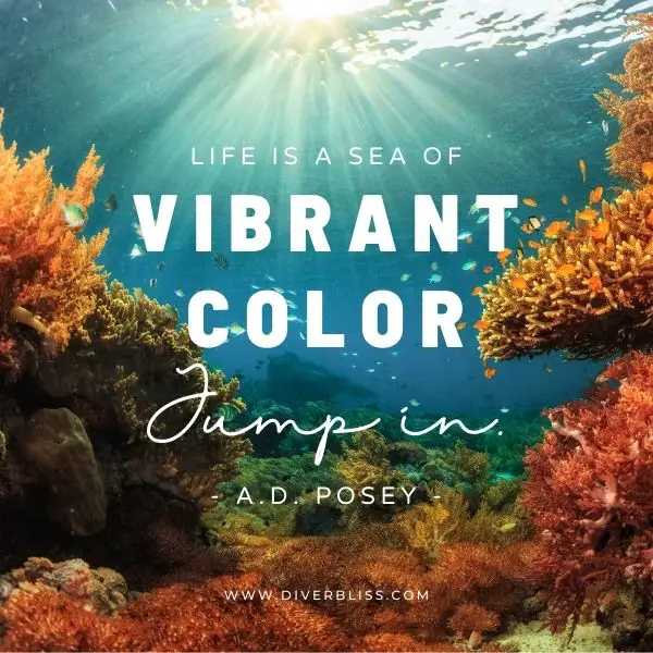 Sea Quotes for Instagram: Life is a sea of vibrant color jump in A.D. Posey
