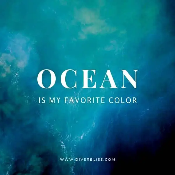 Ocean Captions for Instagram: Ocean is my favorite color