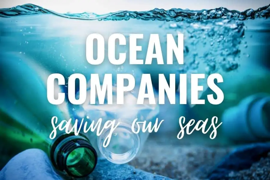 Ocean Companies saving our seas