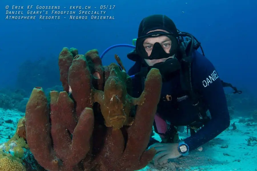 Be an expert at findings frogfishes after taking PADI Frogfish Specialist Course