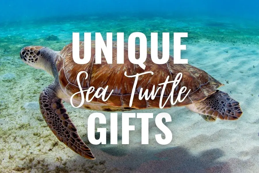 Unique sea turtle gifts