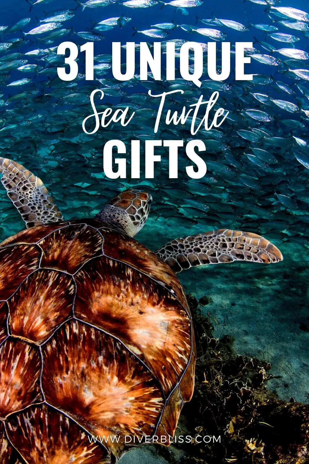 31 Unique Sea Turtle Gifts 