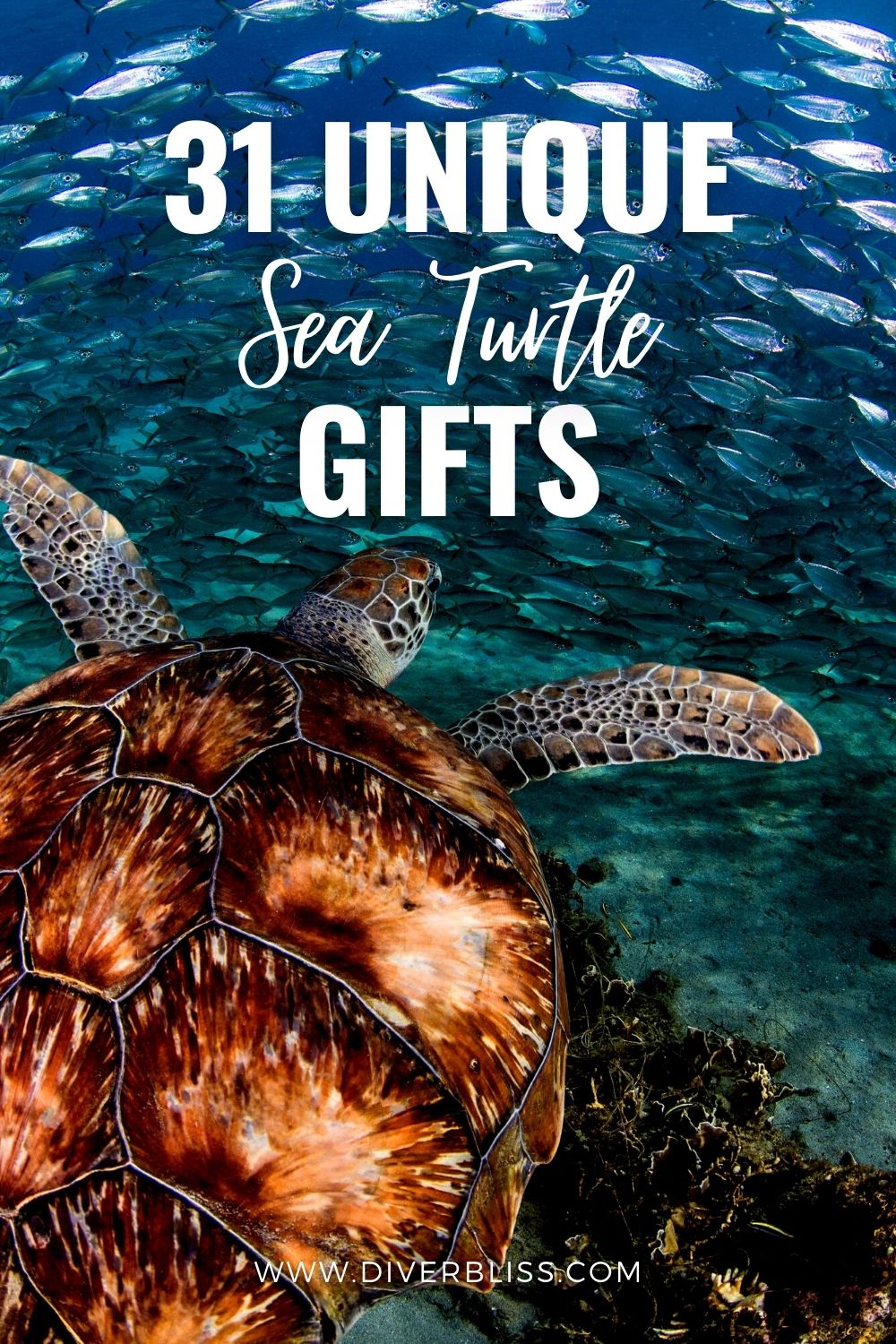 Unique Sea Turtle Gifts: 31 Gift Ideas For Turtle Lovers