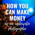 how you can make money as an underwater photographer