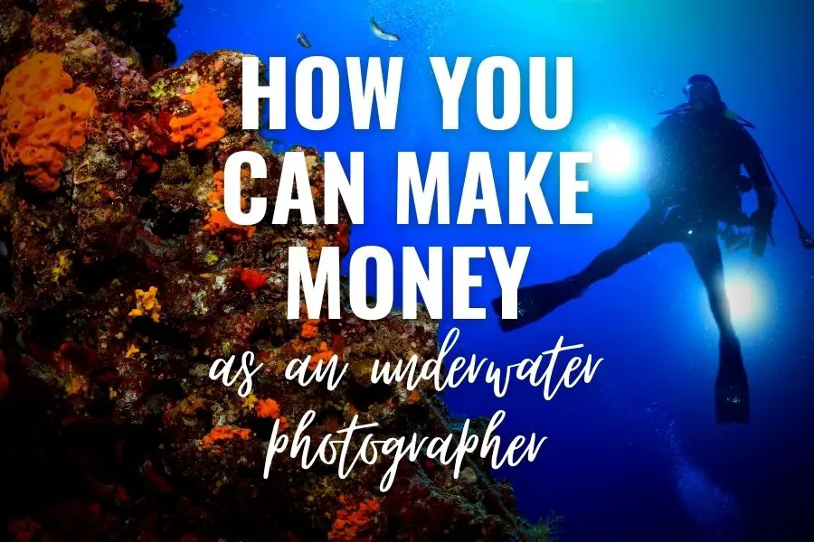 how you can make money as an underwater photographer