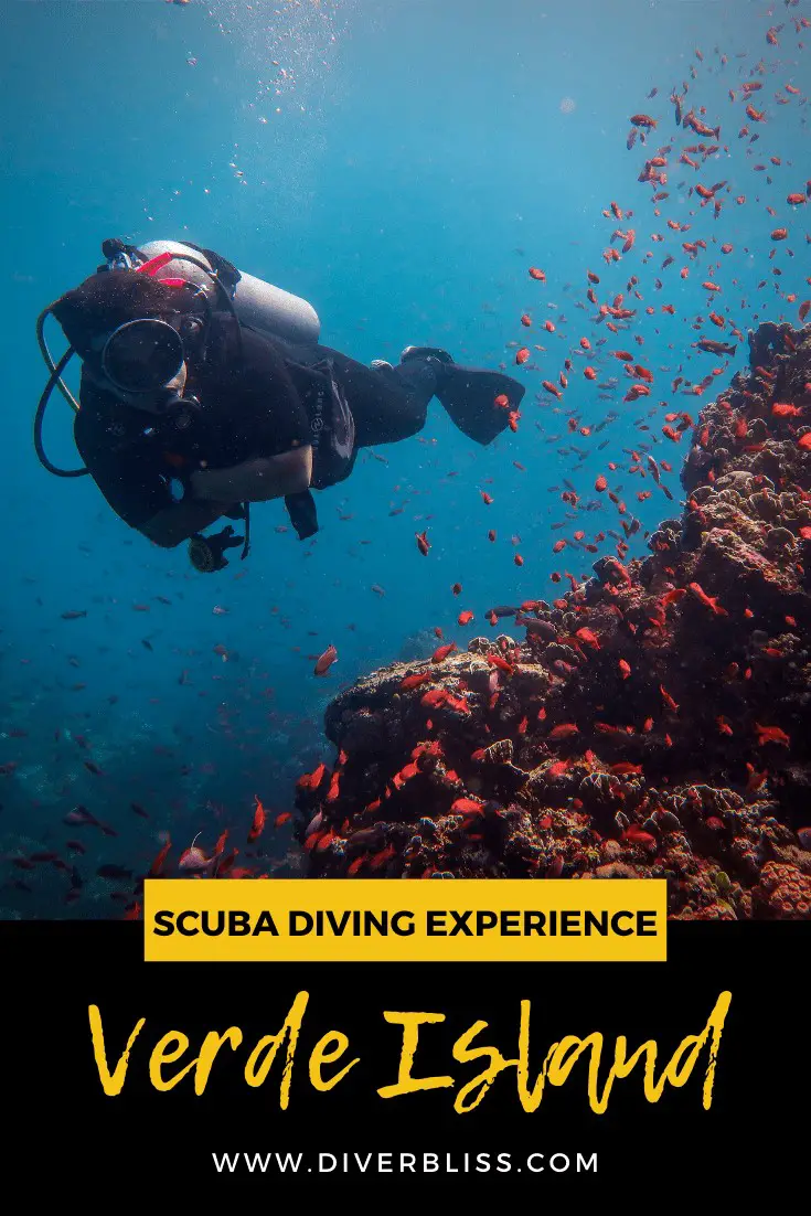 Scuba Diving Experience in Verde Island 