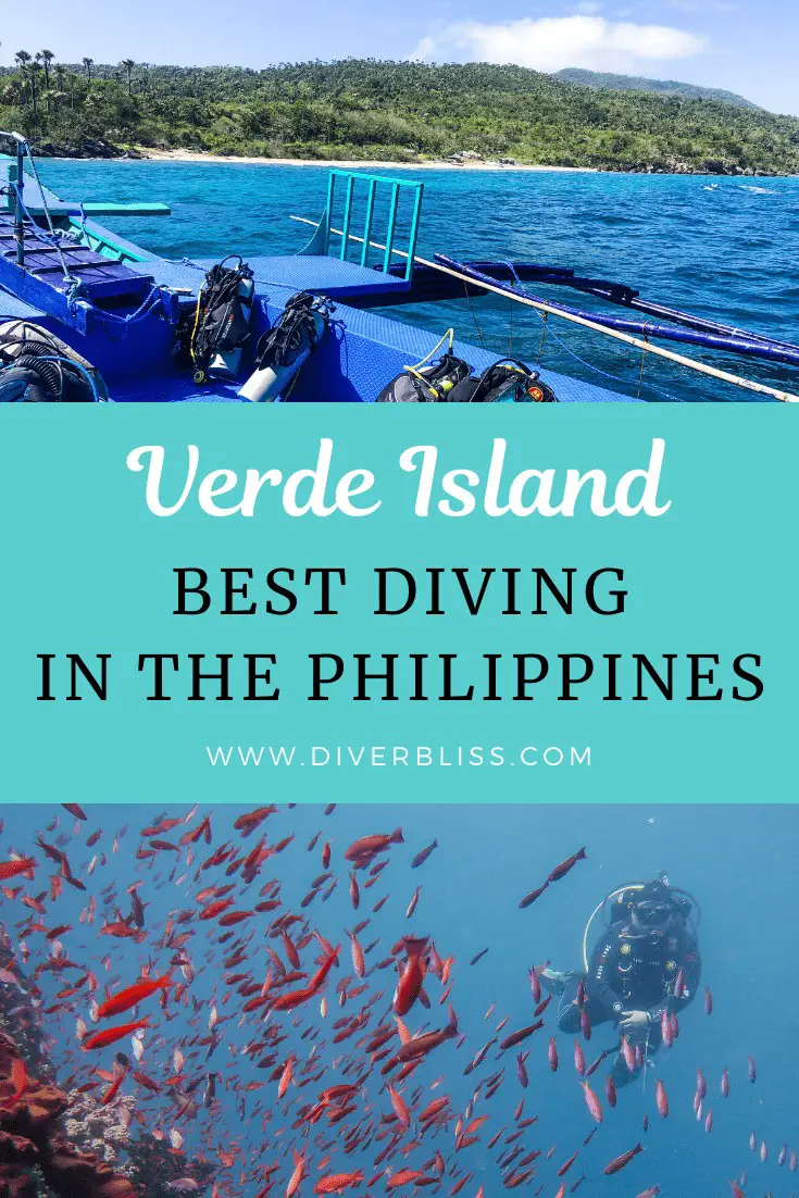 Verde Island Best Diving in the Philippines