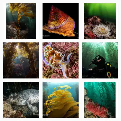 Jami Leslie Feldman @underwaterpaparazzi Instagram Underwater Photographer