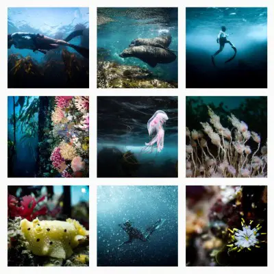 Female Underwater Photographer Lisa Beasley @lisambeasley on Instagram 