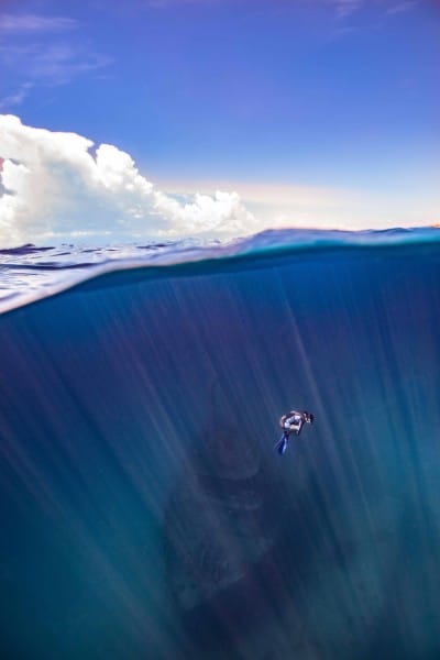 Freediving a wreck in Nassau. Captured by women underwater photographer, Pia Oyarzún