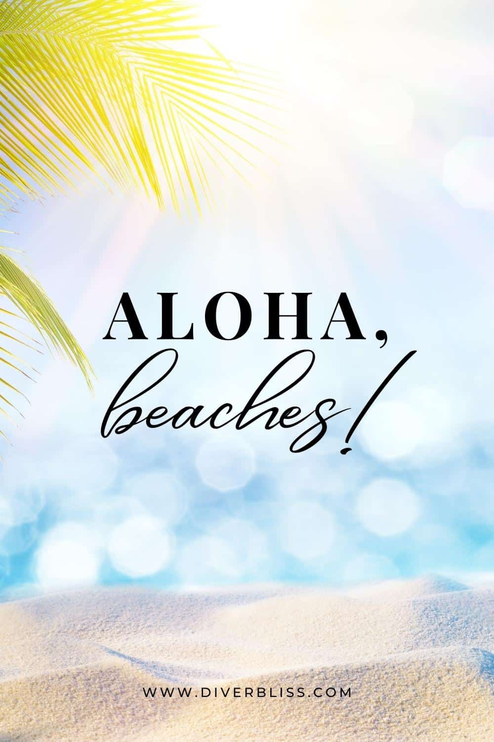 Aloha, beaches! 