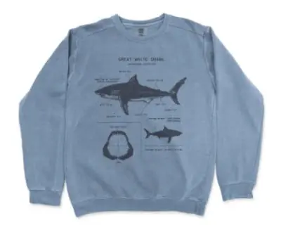 Great White Shark Anatomy Sweatshirt by LifeShines