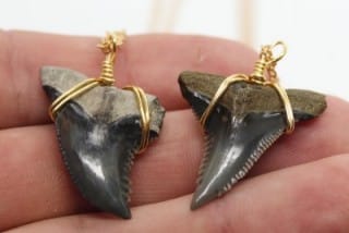 33 Best Shark Gifts for Shark Lovers (Jaw-some Picks) 17 Rare Shark tooth Necklace by SHRKco