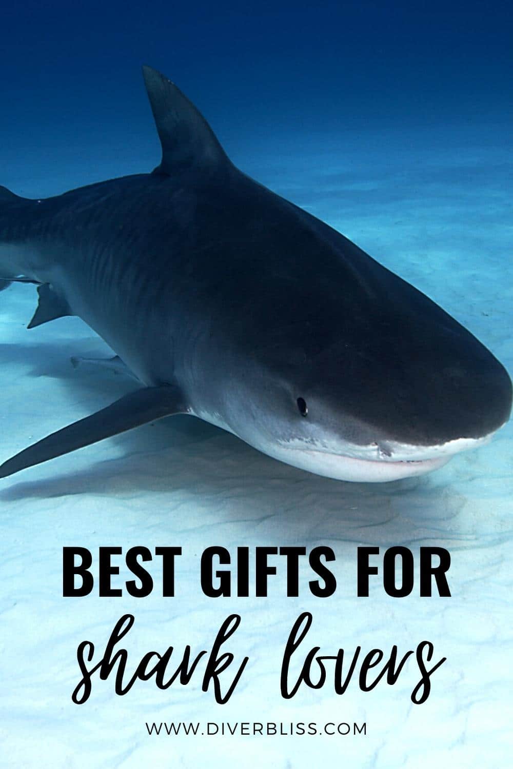 best gifts for shark lovers