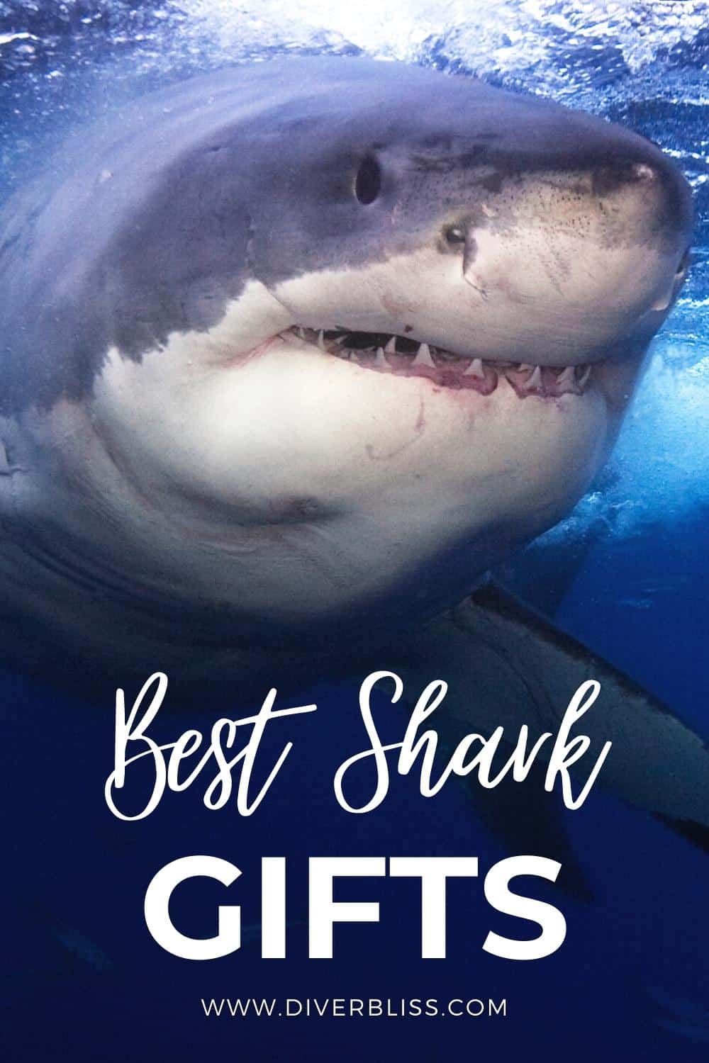 best shark gifts