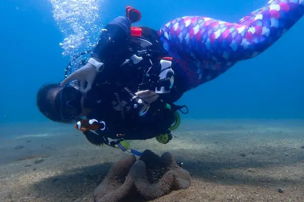 Scuba Diver Ara posing with an anemone while modeling her Aurora Wetsuit leggings for divers 