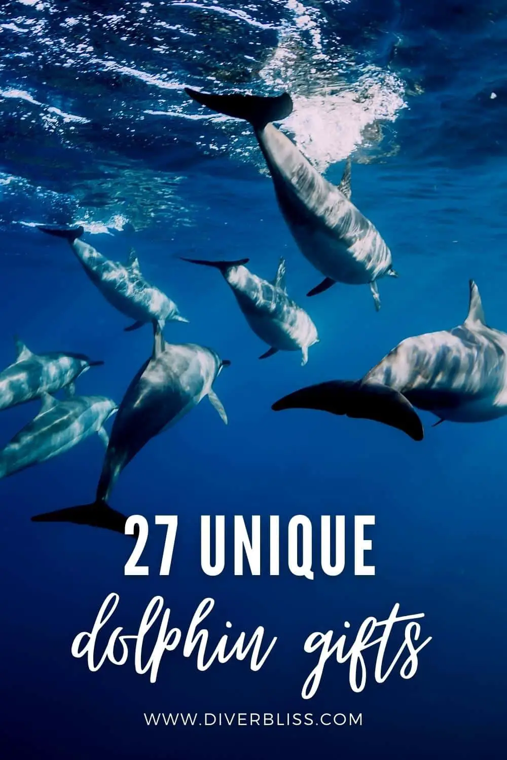 27 Unique dolphin gifts