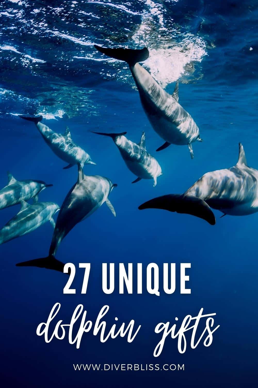 27 Unique dolphin gifts