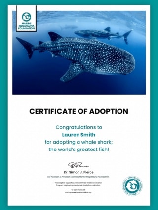 Marine Megafauna Foundation Adopt a Whale Shark