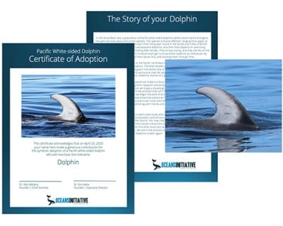 Adopt a dolphin kit from Oceans Initiative