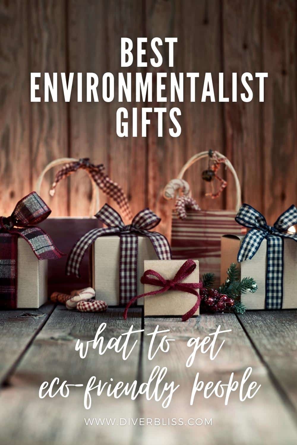 best environmentalist gifts what to get eco friendly people