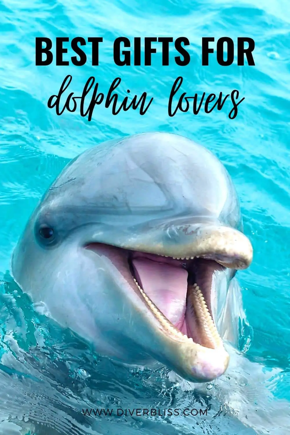 best gifts for dolphin lovers