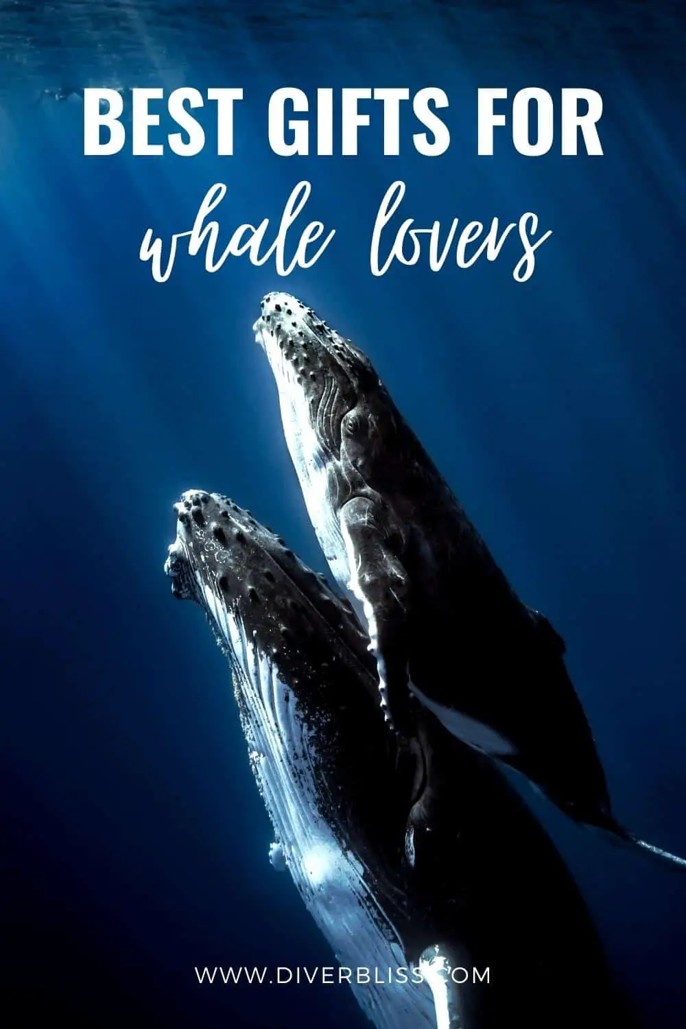 best gifts for whale lovers