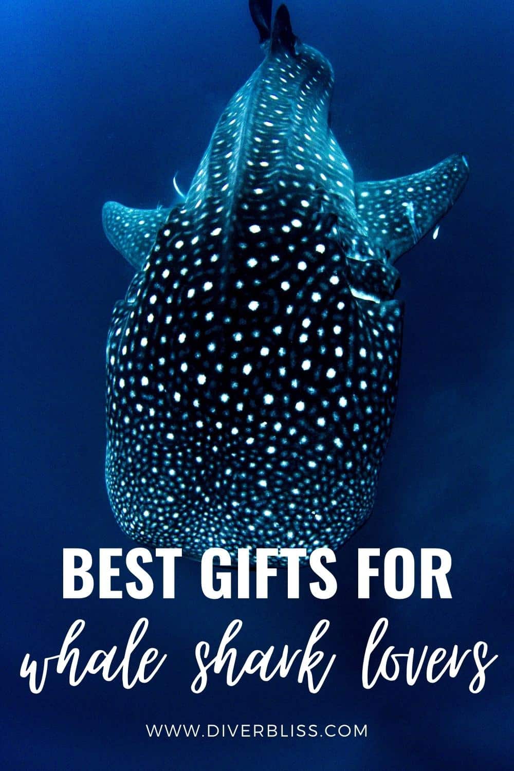 best gifts for whale shark lovers