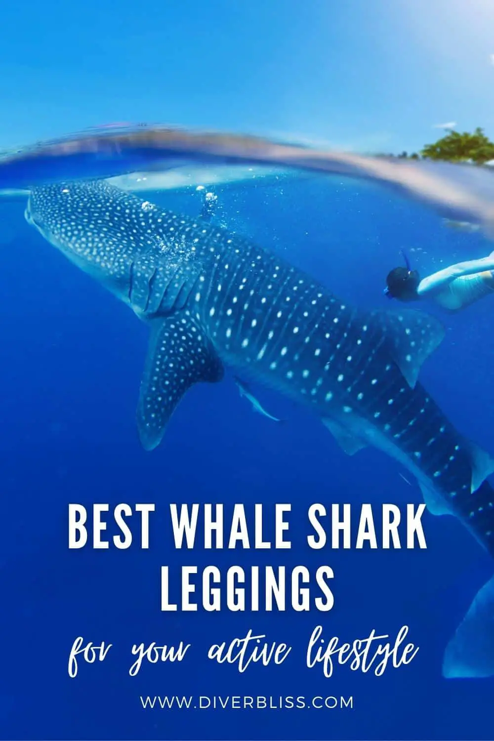 best whale shark leggings for your active lifestyle