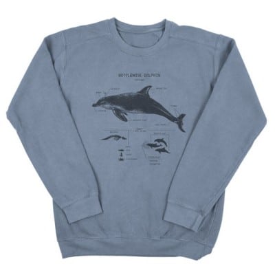 Bottlenose dolphin anatomy sweatshirt from Life Shines