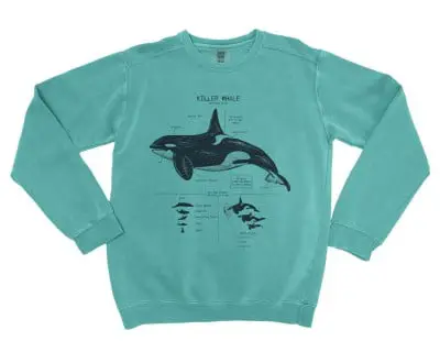 Killer Whale Anatomy Sweatshirt by Life Shines