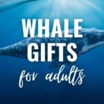 whale gifts for adults