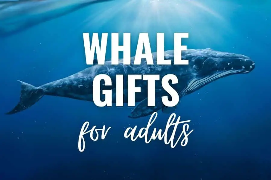 whale gifts for adults