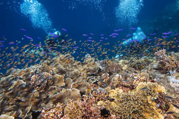 divers at adrians cove limasawa island