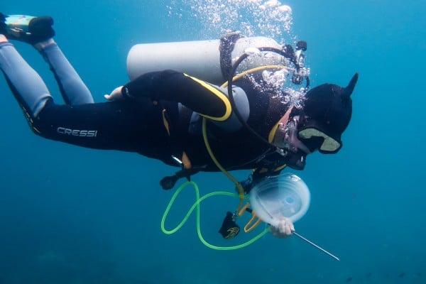 Diver with vinegar injector