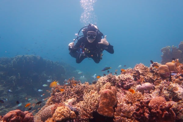 scuba diver exploring Napantao reef