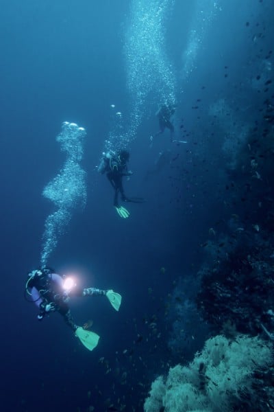 Wall diving at Napantao