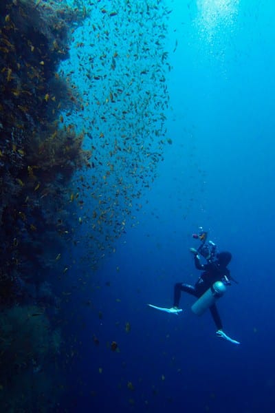 Underwater Photographer at Napantao north wall