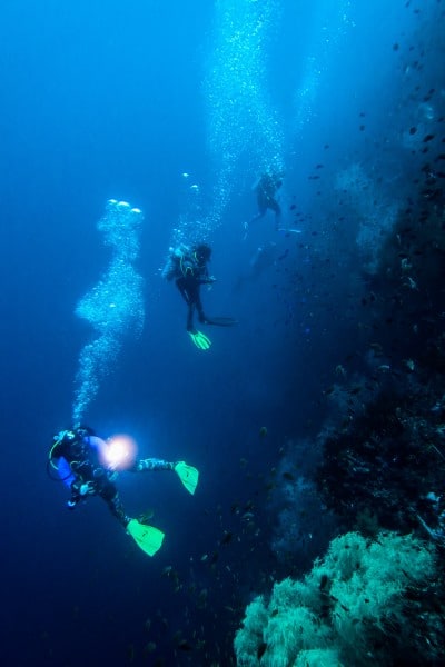 Wall diving in Napantao