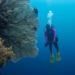 Scuba diving napantao marine sanctuary