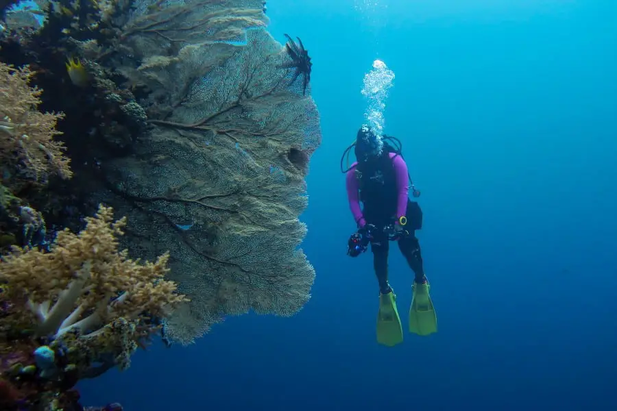 Scuba diving napantao marine sanctuary