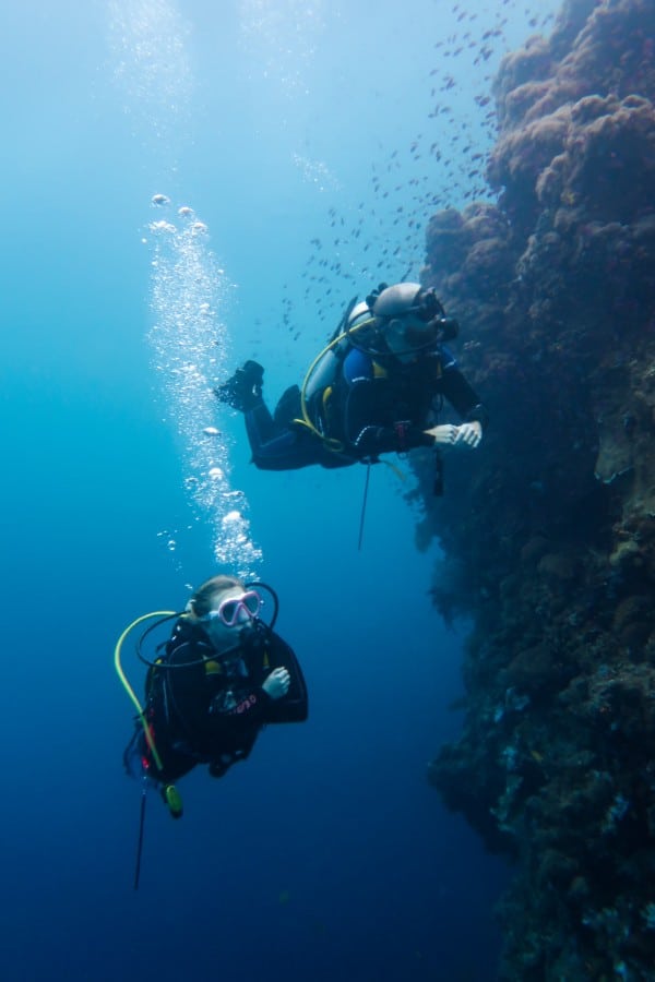 Divers exploring the coves