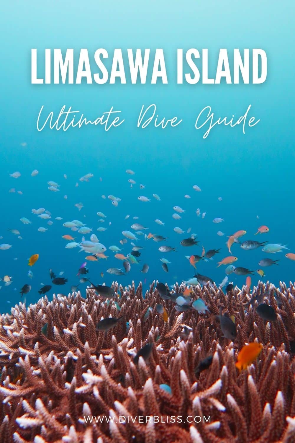 Limasawa Island ultimate dive guide