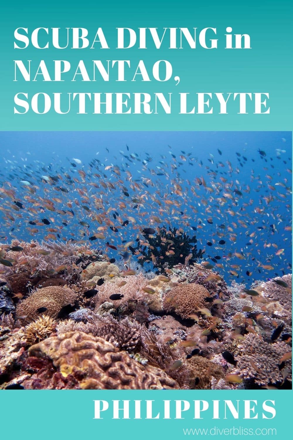 scuba diving in napantao marine sanctuary, san francisco, southern leyte philippines