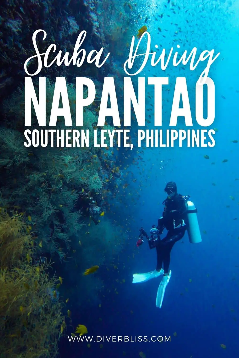 scuba diving napantao southern leyte philippines