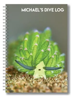 Costasiella kuroshimae Nudibranch logbook by Dive Proof